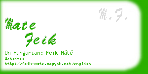 mate feik business card
